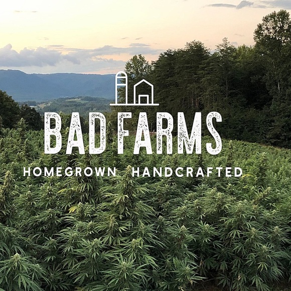 Meet your Posher, The Prospecting Mulés - Picture 4 of 4